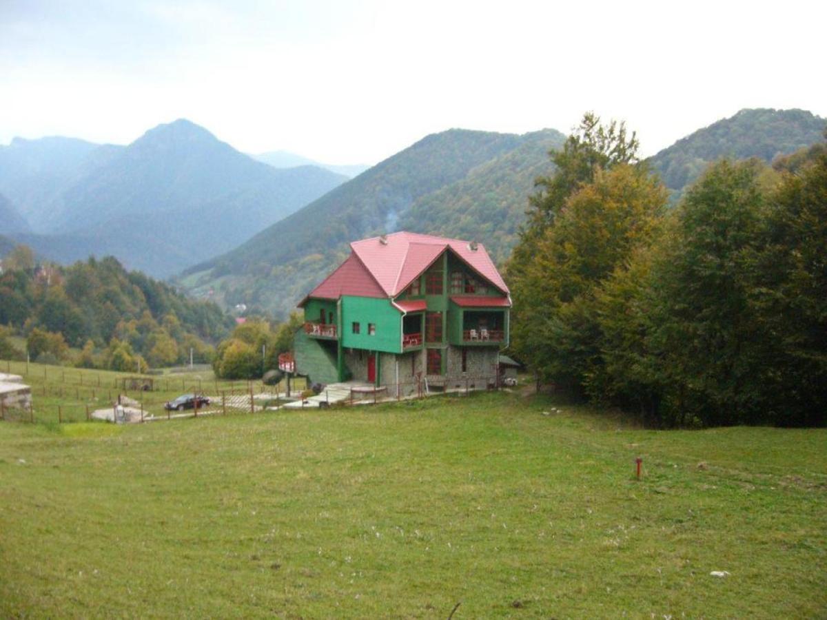 Hotel Barlogul Ursilor Lepşa Exterior foto