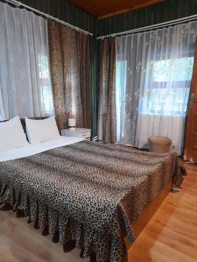 Hotel Barlogul Ursilor Lepşa Exterior foto