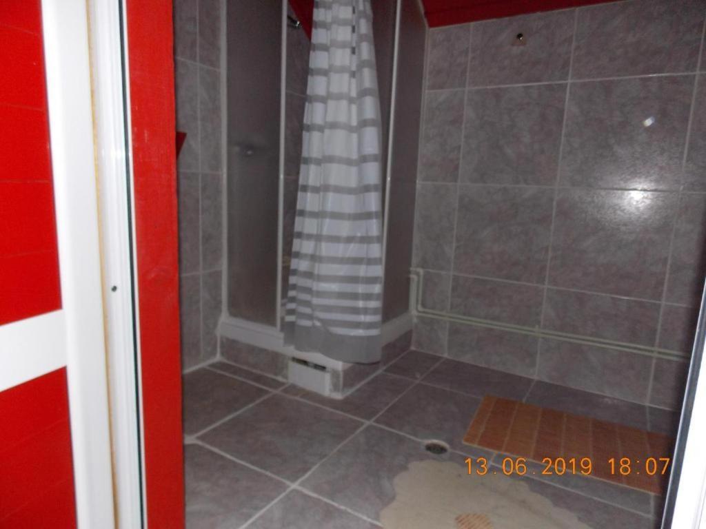 Hotel Barlogul Ursilor Lepşa Exterior foto